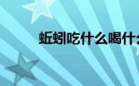 蚯蚓吃什么喝什么（蚯蚓吃什么）