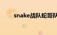 snake战队蛇哥队长（snake战队）