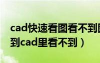 cad快速看图看不到图片（cad快速看图能看到cad里看不到）