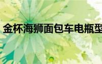 金杯海狮面包车电瓶型号（金杯海狮面包车）