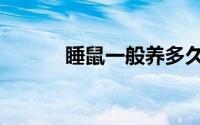 睡鼠一般养多久认主人（睡鼠）
