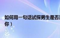 如何用一句话试探男生是否喜欢自己（一句话试探男生喜欢你）