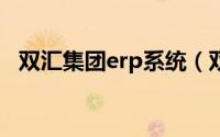 双汇集团erp系统（双汇oa系统网址多少）