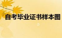 自考毕业证书样本图（自考毕业证书样本）