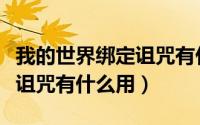 我的世界绑定诅咒有什么用啊（我的世界绑定诅咒有什么用）
