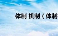 体制 机制（体制机制是什么意思）