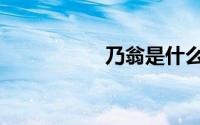 乃翁是什么意思（乃）