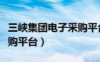 三峡集团电子采购平台网址（三峡集团电子采购平台）