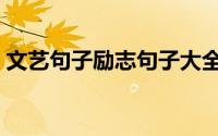 文艺句子励志句子大全（文艺句子励志句子）