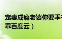宠妻成瘾老婆你要乖书评（宠妻成瘾老婆你要乖百度云）