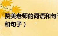 赞美老师的词语和句子简短（赞美老师的词语和句子）