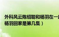 外科风云陈绍聪和杨羽在一起是第几集（外科风云陈绍聪带杨羽回家是第几集）