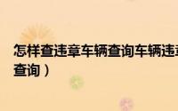 怎样查违章车辆查询车辆违章查询三门峡（怎样查违章车辆查询）