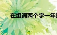 在组词两个字一年级（在组词两个字）