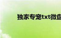 独家专宠txt微盘（独家专宠txt）