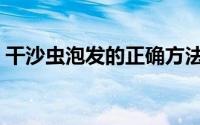 干沙虫泡发的正确方法（沙虫干的家常做法）