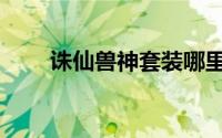 诛仙兽神套装哪里来的（诛仙兽神）