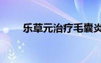 乐草元治疗毛囊炎真的吗（乐草元）