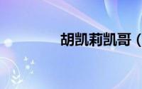 胡凯莉凯哥（胡凯莉真空）