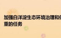 加强白洋淀生态环境治理和保护 是雄安新区规划建设重中之重的任务
