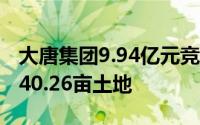 大唐集团9.94亿元竞得三亚中央商务区2宗共40.26亩土地