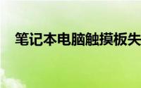 笔记本电脑触摸板失灵全解析与解决方法