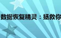数据恢复精灵：拯救你的数据危机的秘密武器