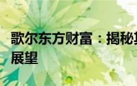 歌尔东方财富：揭秘其背后的成功故事与未来展望